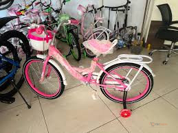 Ladybird 20 Inch Kids Bike Without Trainer Wheels – 7–12 Years
