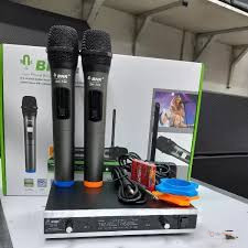 BNK DH-744 Wireless Microphone System – Wireless Mic for Events, Presentations, Church, MCs, Karaoke & Public Speaking