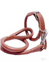 Leather Dog Collar and Leash Set – Stylish Pet Walking & Training Collar with Leash for Dogs